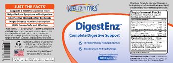 WellZymes DigestEnz - enzyme supplement