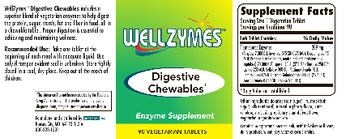 WellZymes Digestive Chewables - enzyme supplement