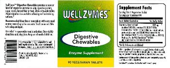 WellZymes Digestive Chewables - enzyme supplement