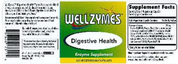 WellZymes Digestive Health - enzyme supplement