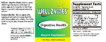 WellZymes Digestive Health - enzyme supplement