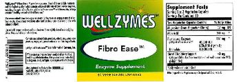 WellZymes Fibro Ease - enzyme supplement