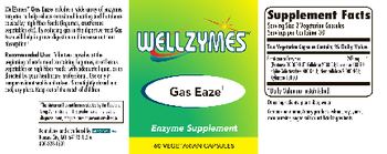 WellZymes Gas Eaze - enzyme supplement