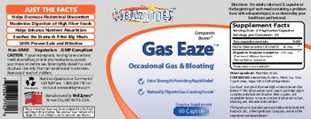 WellZymes Gas Eaze - enzyme supplement