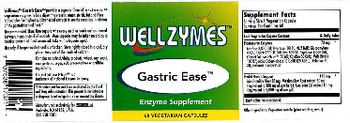 WellZymes Gastric Ease - enzyme supplement