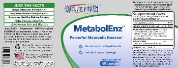 WellZymes MetabolEnz - supplement