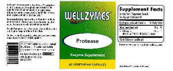 WellZymes Protease - enzyme supplement