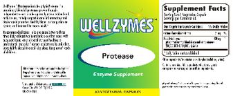 WellZymes Protease - enzyme supplement