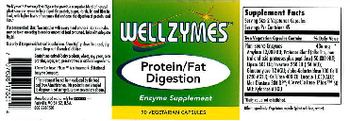 WellZymes Protein/Fat Digestion - enzyme supplement