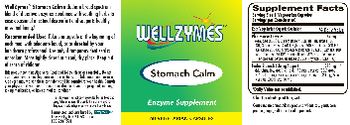 WellZymes Stomach Calm - enzyme supplement