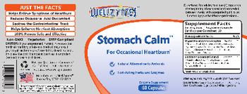 WellZymes Stomach Calm - enzyme supplement