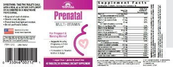 Windmill Prenatal Multi-Vitamin - supplement