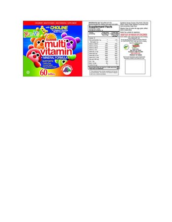 Yum-V's Multi Vitamin + Mineral Formula Yummy Grape Flavor - childrens multivitamin multimineral supplement